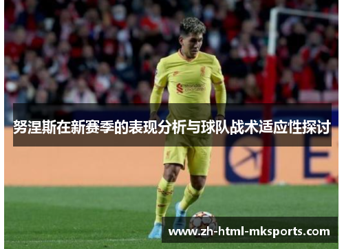 努涅斯在新赛季的表现分析与球队战术适应性探讨